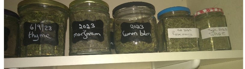 Dried herbs in labelled jars on a shelf